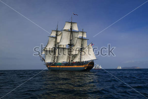  артикул 10018638