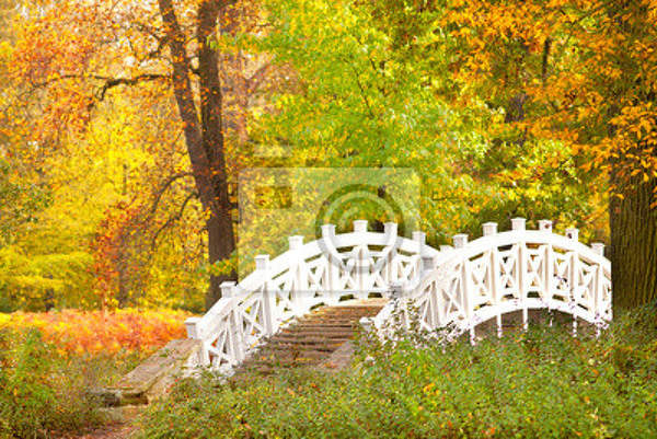 артикул 10018662