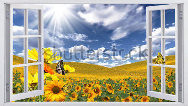  артикул 10018666