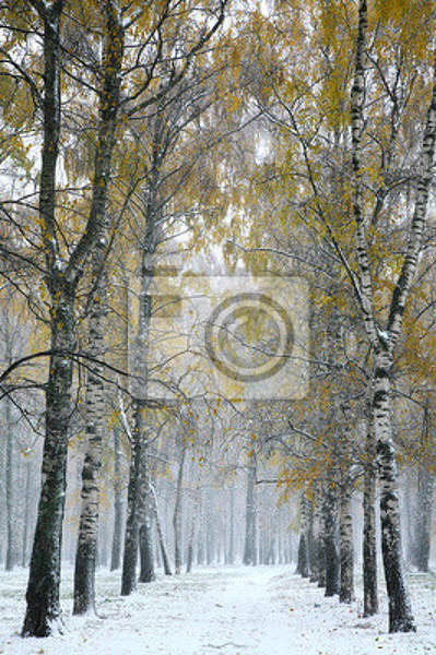  артикул 10018711