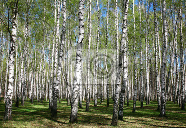  артикул 10018701