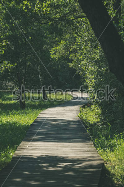  артикул 10018824