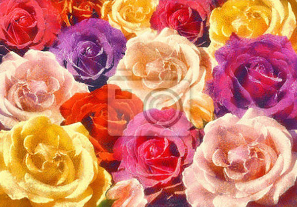  артикул 10019479