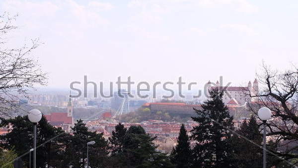  артикул 10019496