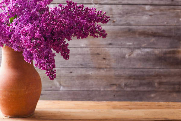 Букет сирени артикул 10019630