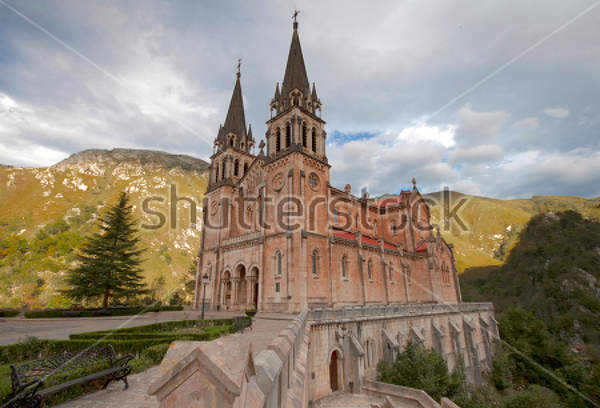  артикул 10019987