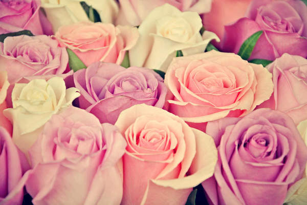 Розовые и белые розы артикул 10019764