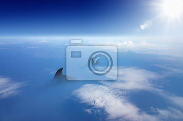  артикул 10020065