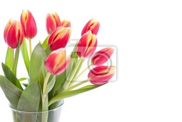  артикул 10020281