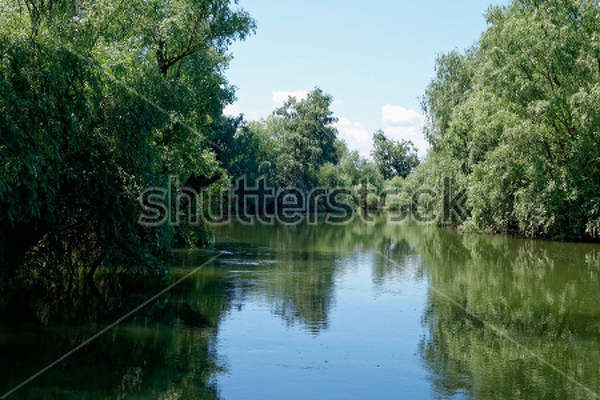  артикул 10020468