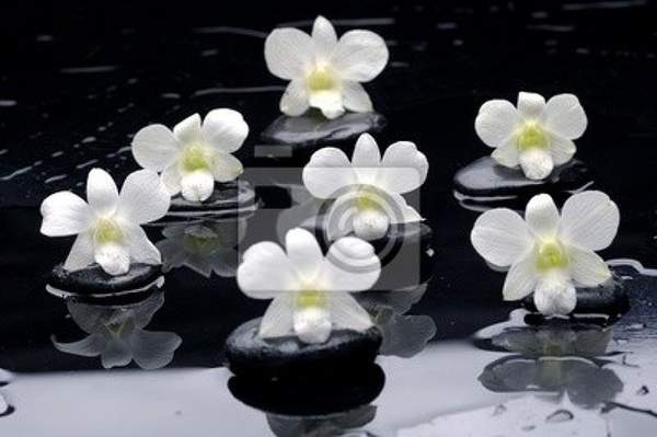  артикул 10020670