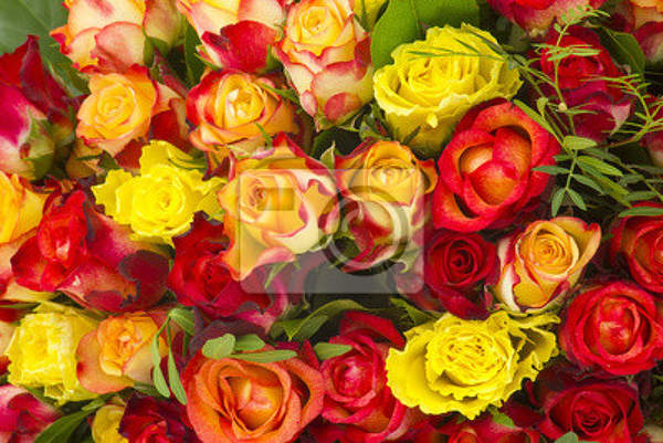  артикул 10020796