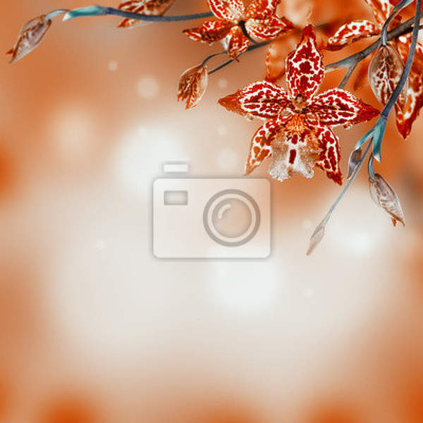  артикул 10020935