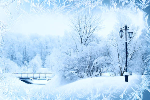 Зимний парк (пейзаж) артикул 10021201