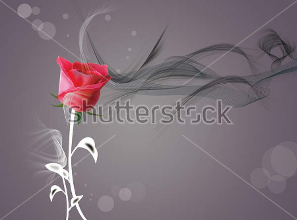 3Д Фотообои с красной розой на темном фоне артикул 10021688