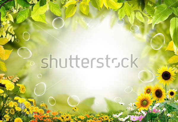 3Д Фотообои с листвой и разными цветами артикул 10021684
