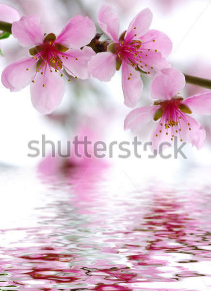  артикул 10022489