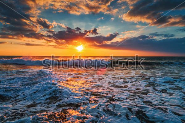  артикул 10023136