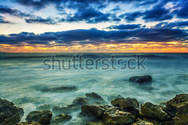  артикул 10023049