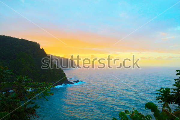  артикул 10023065