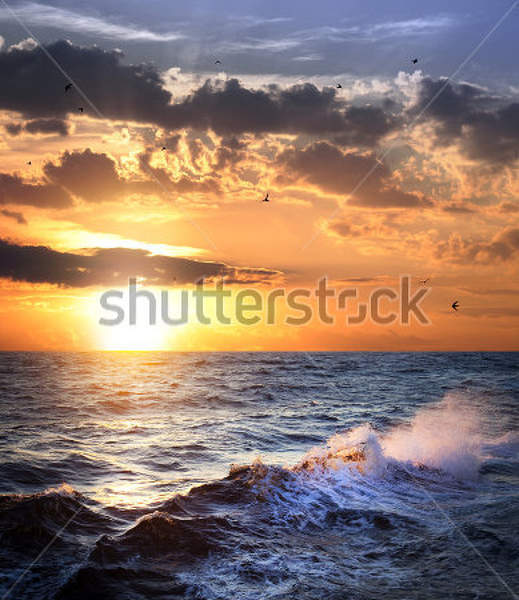  артикул 10023148