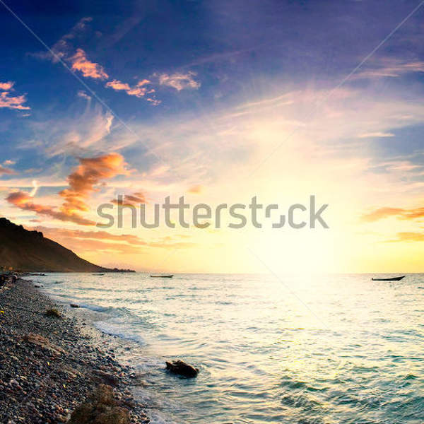  артикул 10023144