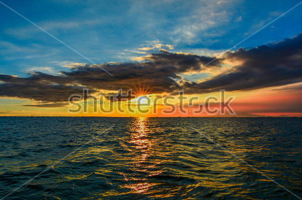  артикул 10023141