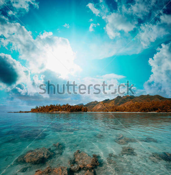  артикул 10023055