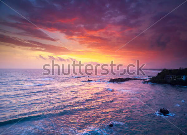  артикул 10023046