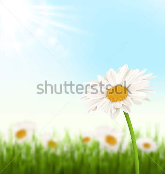  артикул 10023098