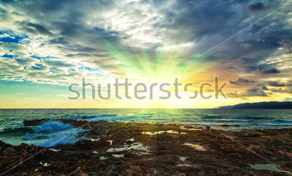  артикул 10023052