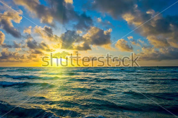  артикул 10023053