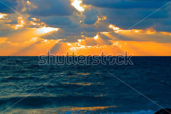  артикул 10023138
