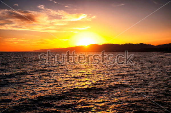 артикул 10023146