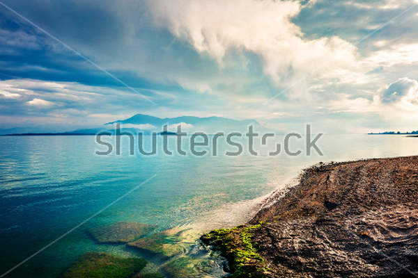  артикул 10023062