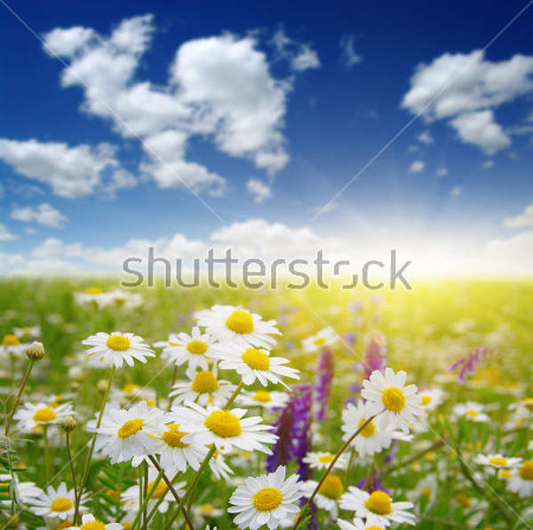  артикул 10023090