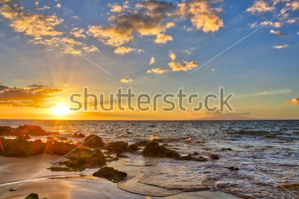  артикул 10023150