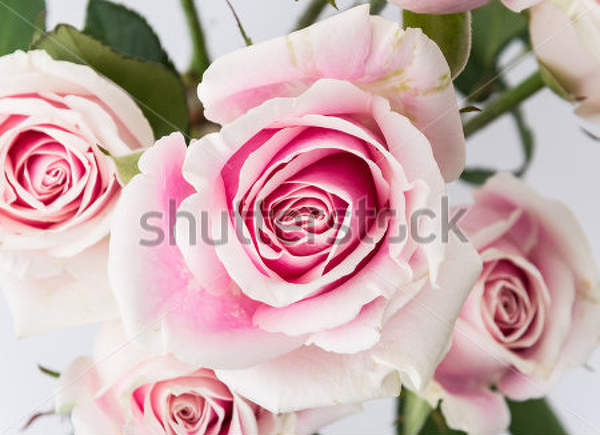  артикул 10023651