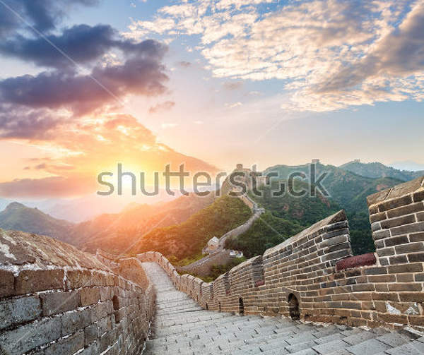  артикул 10023648