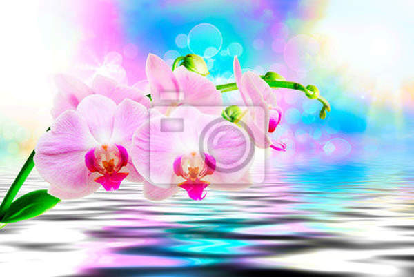  артикул 10023609