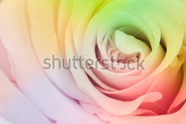  артикул 10023881