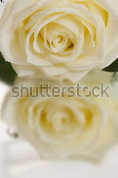  артикул 10023880