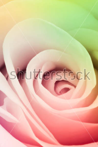  артикул 10023883