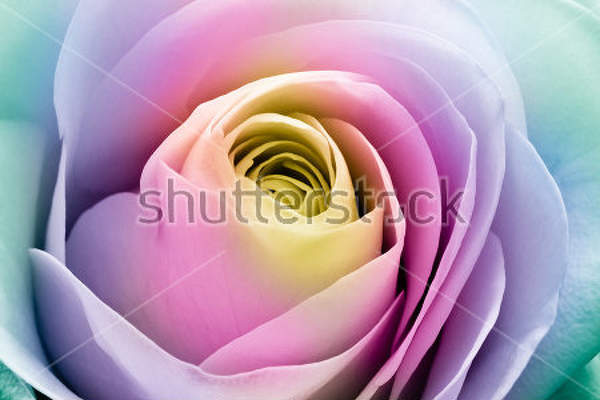  артикул 10023884