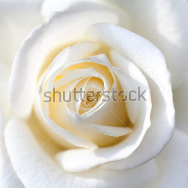  артикул 10023873