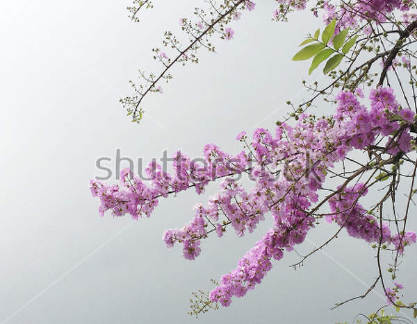  артикул 10024344