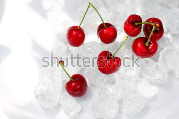  артикул 10024909