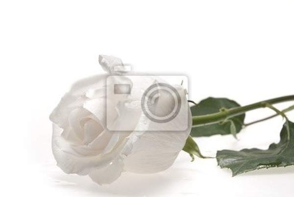  артикул 10025032