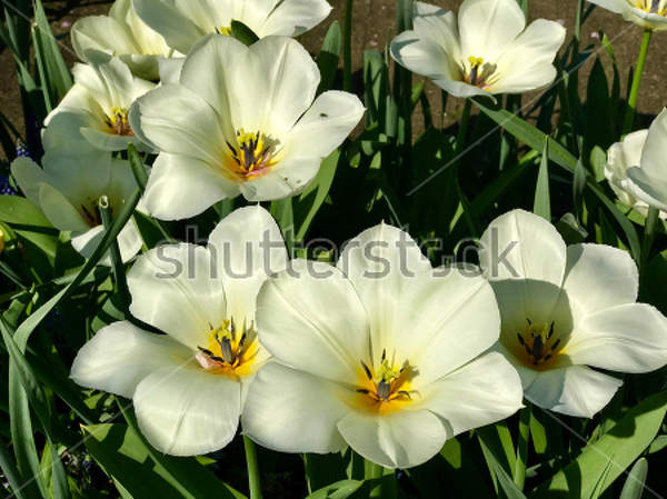  артикул 10025048