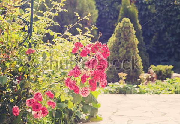  артикул 10025232